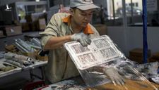 New York Times: “iPhone có thể được sản xuất tại Việt Nam. Hãy cảm ơn cuộc chiến thương mại”