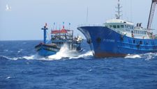 Tàu cá Bình Định bị tàu Trung Quốc truy đuổi trái phép tại khu vực Trường Sa