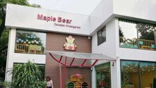 Rút giấy phép thành lập Trường Maple Bear nhốt trẻ trong tủ