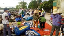 Xuất hiện hàng tấn cá chết nổi trắng sông ở Hà Tĩnh