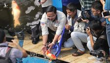Có hay không âm mưu tiêu diệt đàn cá Koi ở sông Tô Lịch?