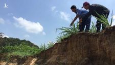 Cho phép khai thác cát trở lại trên sông Đồng Nai