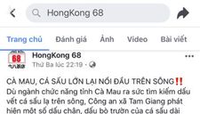 Fanpage quán trà sữa đăng thông tin cá sấu xuất hiện ở Cà Mau để câu like