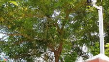 Chi 1 tỷ lắp camera nhà riêng lãnh đạo có đúng quy định?