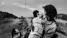 Thảm họa ‘vịnh thủy ngân’ giết hàng nghìn người Nhật và nỗi đau 63 năm