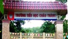 ‘Ăn chặn’ sữa học đường, một hiệu trưởng bị kỷ luật giáng chức