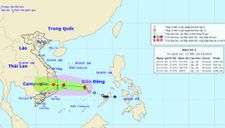 Bão số 5 giật cấp 10, vào đất liền các tỉnh từ Bình Định đến Ninh Thuận