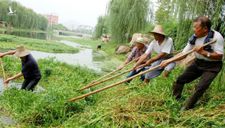 SCMP: Đập thủy điện lớn nhất thế giới lâm nguy vì sinh vật ngoại lai, TQ phải nhờ “đội quân 6 chân” giúp đỡ