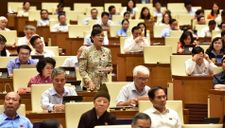 Bà Nguyễn Thị Quyết Tâm bật khóc tại hội trường Quốc hội khi tranh luận
