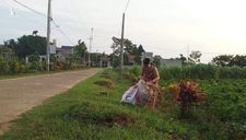 Cô giáo làm chuyện ít người biết lúc rạng sáng suốt hai năm qua