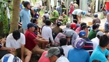 Cảnh sát bắt 92 người đá gà ăn tiền ở Trà Vinh