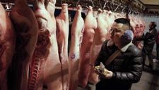 Thế giới không đủ thịt lợn để bán cho Trung Quốc