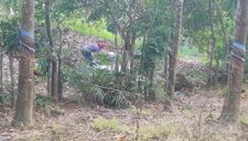 Lộ danh tính nạn nhân vụ thi thể không đầu trong bụi rậm ở Bình Phước
