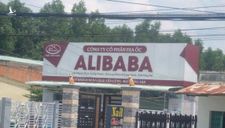 UBND huyện Long Thành – Đồng Nai “dính” sai phạm của Alibaba?