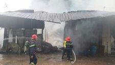 Cháy dữ dội tại cơ sở sản xuất dầu chai, công nhân nhảy sông thoát nạn