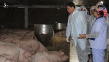 Găm hàng đẩy giá thịt lợn, Bộ trưởng cảnh báo ‘gậy ông đập lưng ông’