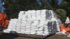 Bộ Công an bắt 4 đối tượng buôn lậu 1.000 tấn đường từ Campuchia
