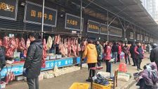 Bên trong chợ hải sản Hoa Nam, nơi bùng phát virus corona