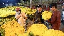 Chợ hoa không nói thách, người Sài Gòn vui vẻ mua hoa đến nửa đêm