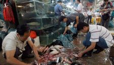 Bên trong khu chợ bùng phát virus corona tại Vũ Hán