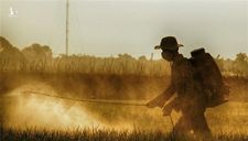 Bộ Nông nghiệp lên tiếng vụ phát ngôn ‘90% người Việt Nam ăn gạo bẩn’
