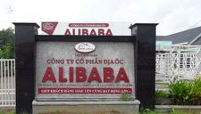 Xử lý nghiêm những ai ‘tiếp tay’ Alibaba phân lô bán nền