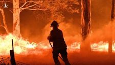Cháy rừng ở Australia phơi bày sự thật phũ phàng
