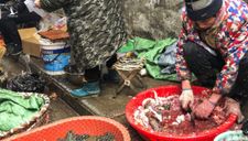Trung Quốc cấm bán động vật hoang dã, 80 người chết vì virus Corona mới