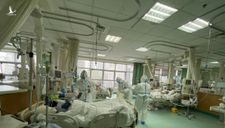 Bác sĩ đầu tiên ở bệnh viện Hồ Bắc chết vì virus corona