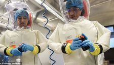 Giới khoa học từng cảnh báo nguy cơ virus “xổng” khỏi phòng thí nghiệm ở Vũ Hán