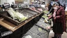 “Khủng hoảng rau” trong tâm dịch Vũ Hán: Dân ùn ùn đi mua rau, giá tăng gấp 10 lần mà vẫn thiếu