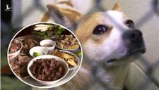 Giết và ăn thịt chó, nhóm công nhân lao động bị phạt 770 triệu đồng