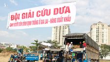 Đã đến lúc Việt Nam bớt lệ thuộc hàng hoá vào Trung Quốc!