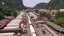 Hàng trăm container trái cây sang Trung Quốc phải ‘quay đầu’ vì đóng cửa khẩu