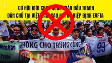 “Mặt dày như mo, ăn no phá hoại”