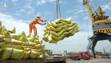 Tổng Cục Hải quan “tố” Bộ Công Thương phớt lờ góp ý về xuất khẩu gạo