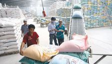 Chỉ trong 2 tháng, Trung Quốc mua tới hơn 66.000 tấn gạo Việt Nam