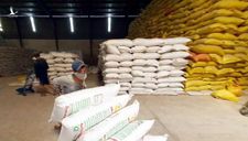 Điểm danh 24 doanh nghiệp ‘bùng’ bán gạo dự trữ quốc gia