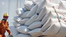 ‘Xù’ hợp đồng cung cấp gạo dự trữ sẽ bị tịch thu toàn bộ tiền bảo lãnh