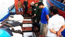 Trung Quốc đâm chìm tàu, bắt ngư dân Việt Nam: Hành vi ngang ngược, vô nhân đạo