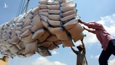 Lập đoàn kiểm tra liên ngành nắm tình hình về lượng gạo tại các cảng