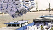 Doanh nghiệp ‘xù’ hợp đồng gạo dự trữ để đăng ký xuất cả nghìn tấn