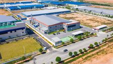 Trải thảm đón sóng đầu tư: Không làm theo phong trào!