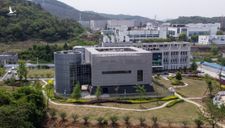 Phòng thí nghiệm Vũ Hán lên tiếng về nghi vấn làm rò rỉ virus SARS-CoV-2