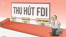 FDI là thể diện, không phải “giá nào cũng ăn”