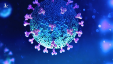 WHO khẳng định virus SARS-CoV-2 “có nguồn gốc tự nhiên”