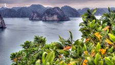 Báo Mỹ: Việt Nam đang chiếm ưu thế trong phục hồi du lịch