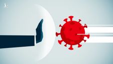 Tìm ra kháng thể giúp ‘ức chế 100%’ virus corona