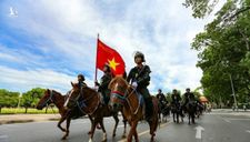 Chớ trông vóc ngựa mà phán bừa, nhỏ mà có võ đấy! 