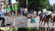 Ngựa nước ngoài lúc nào chả “thơm”!